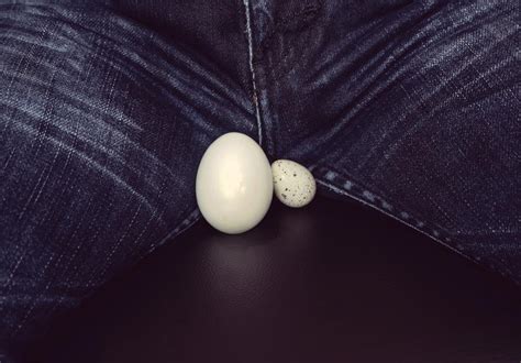 guys balls pics|Man Testicles royalty.